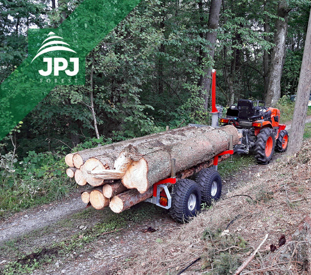 Trailer Waldarbeiter